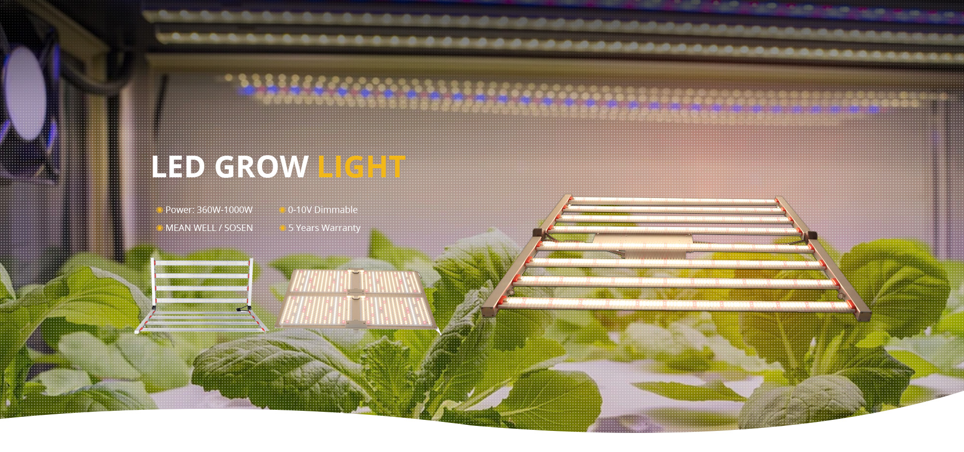 solar led lamp company